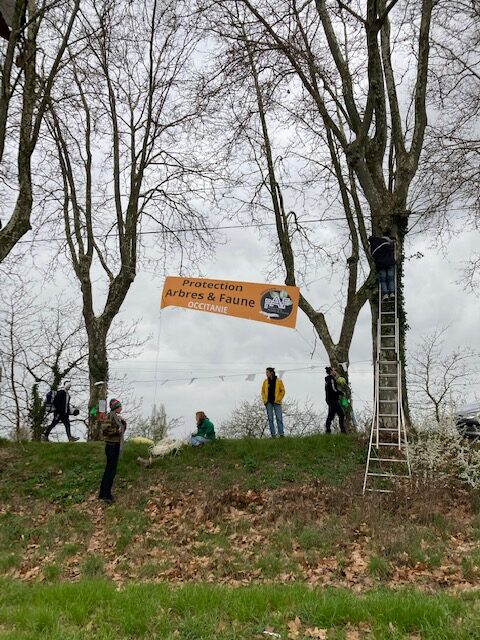 Bénévoles posant une banderole dans les arbres